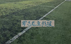 罗马尼亚外援 真大腿！刷屏助攻榜 晋级足协杯半决赛 第26轮还能神奇下去吗