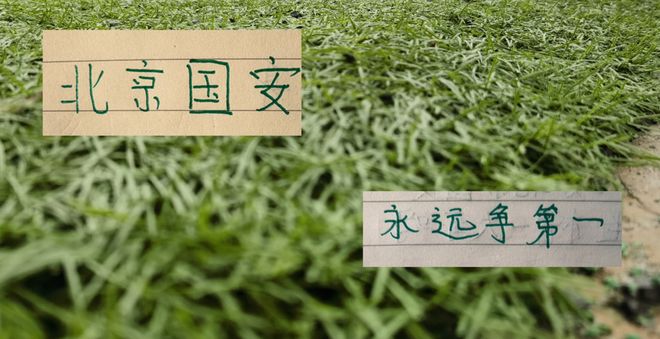 北京国安亚冠精英赛3大主力缺席 但他们比申花好的是 蒙哥马利手握8名外援