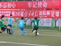 布雷斯特VS巴黎圣日耳曼直播_布雷斯特VS巴黎圣日耳曼低功耗高清节能直播_布雷斯特VS巴黎圣日耳曼直播赛事前瞻